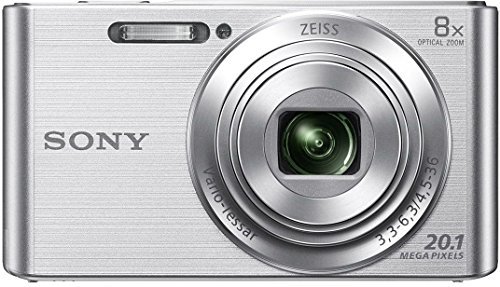 Sony DSC-W830/S Cybershot 20.1MP Point & Shoot Digital Camera (Silver) with 8X Optical Zoom and Camera Case
