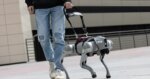 This robotic dog talks with ChatGPT magic and guides the visually impaired