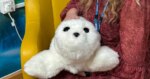 Fluffy robot seals are being used for mental health care at a UK hospital