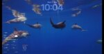 This free Mac app puts stunning glassy widgets on your lock screen